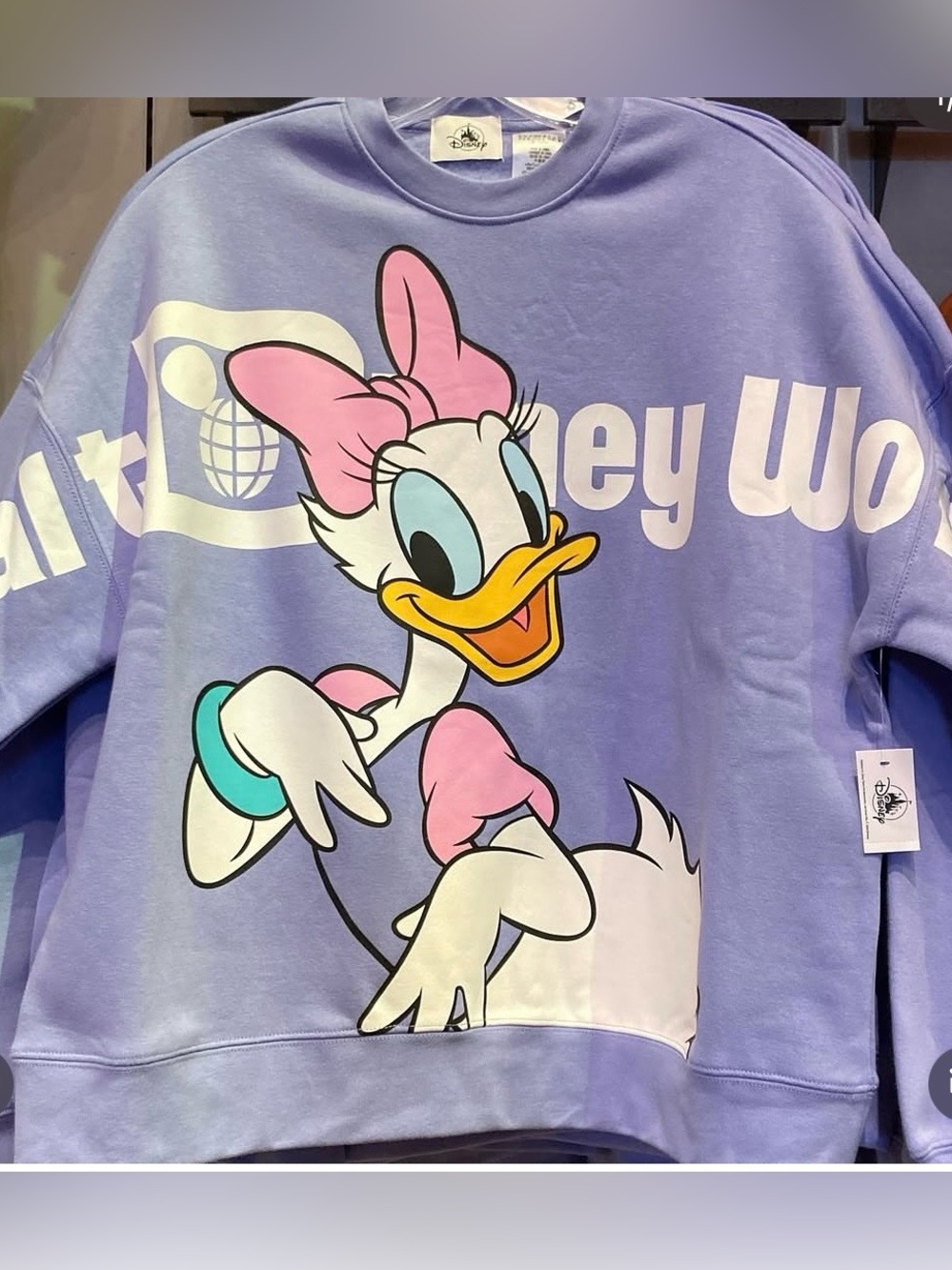Walt Disney World Pullover Jersey Daisy Two Sided Garden Purple Sweatshirt Women